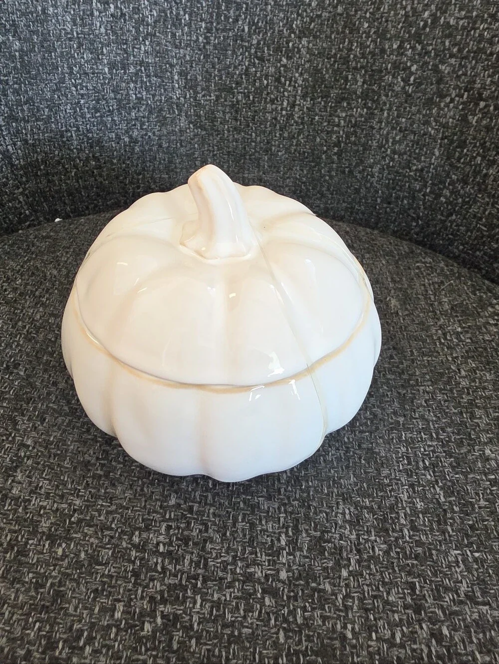NWT Fall 22 Oz Cream Ceramic Pumpkin Bowl With Lid Hobby Lobby Decorative